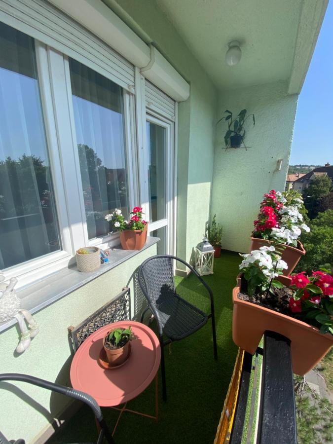 Oliaparman Apartment Eger Exterior photo